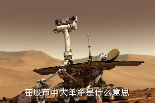 大單凈值什么意思，大單凈比是什么意思