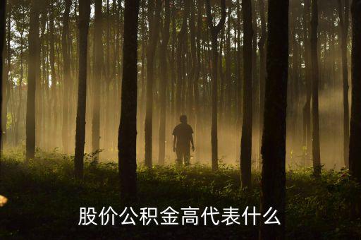 股價(jià)公積金高代表什么
