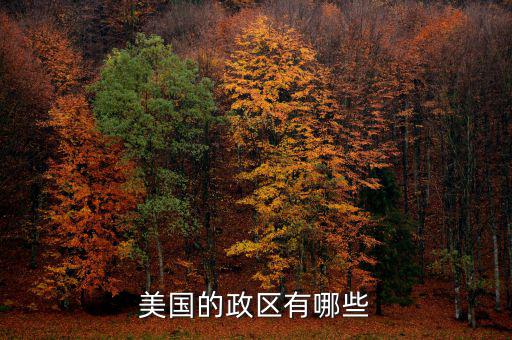 美國(guó)地方政府自治包括什么，美國(guó)的政府體制是什么