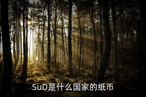 sud是什么貨幣，SUD是什么貨幣單位