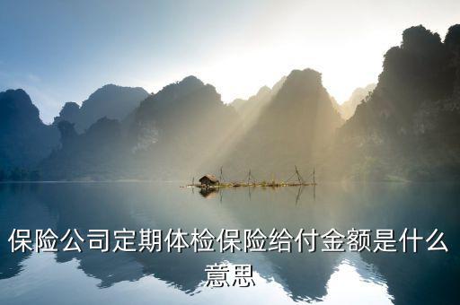 保險(xiǎn)中的給付金是什么意思，保險(xiǎn)金給付額 是什么意思