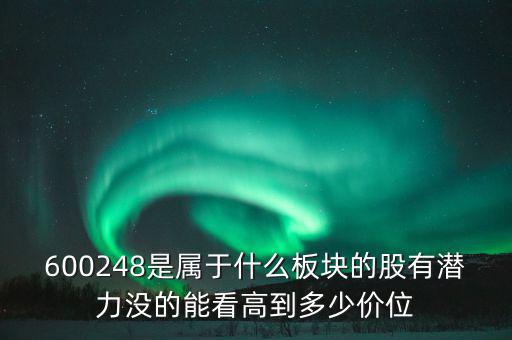 川儀股份是什么板塊，600248是屬于什么板塊的股有潛力沒的能看高到多少價位