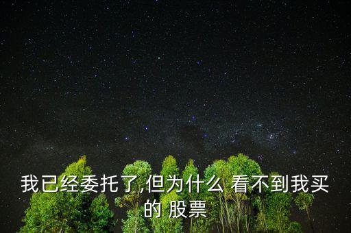 我已經委托了,但為什么 看不到我買的 股票