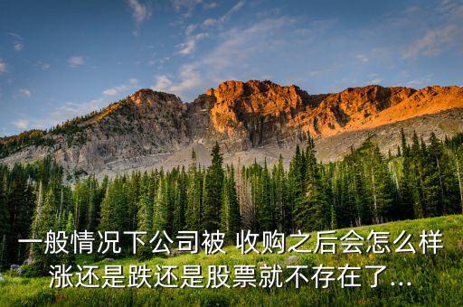 聯(lián)創(chuàng)智融被收購后怎么樣怎么樣,股票會(huì)否存在?請(qǐng)不要笑著發(fā)言