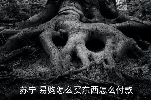  蘇寧 易購(gòu)怎么買東西怎么付款