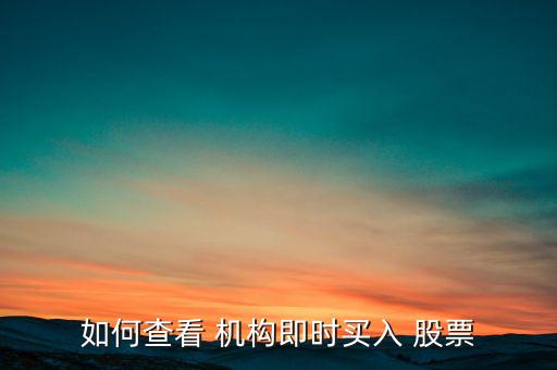 如何查看 機(jī)構(gòu)即時(shí)買(mǎi)入 股票