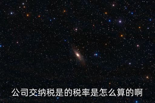 小規(guī)模納稅人的價調(diào)基金怎么計算,下個月稅收收入增長什么?