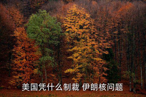 伊朗核問題是怎么回事,美國(guó)有幾個(gè)流氓國(guó)家比如朝鮮伊朗等國(guó)家