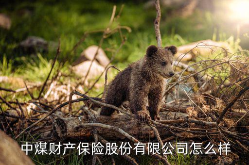 中煤財險怎么樣,中煤保險沒人要買信譽低沒有服務