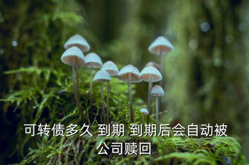  可轉(zhuǎn)債多久 到期 到期后會(huì)自動(dòng)被公司贖回