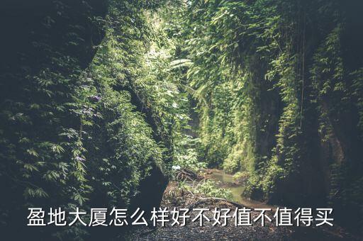 盈地大廈怎么樣好不好值不值得買(mǎi)