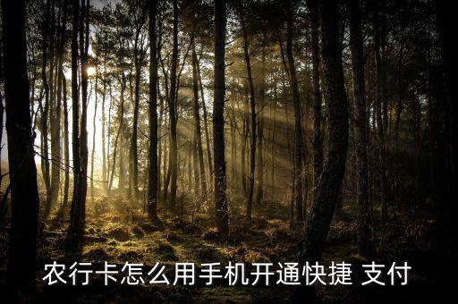 農(nóng)行卡怎么用手機(jī)開(kāi)通快捷 支付
