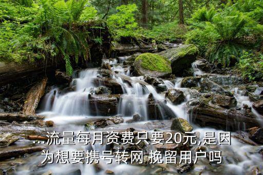 ...流量每月資費只要20元,是因為想要攜號轉網 挽留用戶嗎