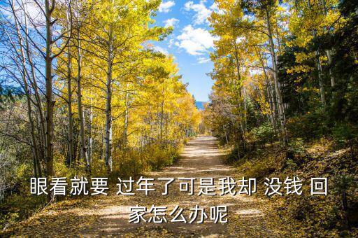 沒(méi)錢(qián)回家過(guò)年怎么辦,有錢(qián)沒(méi)錢(qián)過(guò)年你知道這兩件事嗎?