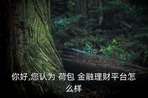 你好,您認(rèn)為 荷包 金融理財(cái)平臺怎么樣