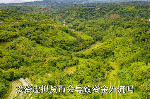 寶慈資產怎么樣,虛擬貨幣難以追蹤大多數(shù)國家持謹慎態(tài)度