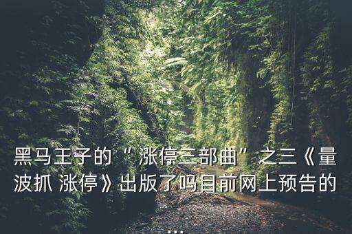黑馬王子的“ 漲停三部曲”之三《量波抓 漲?！烦霭媪藛崮壳熬W(wǎng)上預(yù)告的...