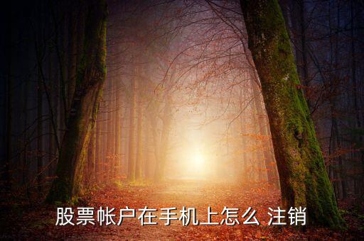怎么注銷(xiāo)同花順手機(jī)號(hào),怎么綁定同花順賬號(hào)?可以這樣做!