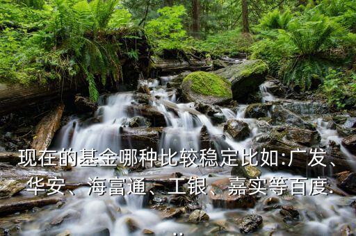 現(xiàn)在的基金哪種比較穩(wěn)定比如:廣發(fā)、 華安、海富通、工銀、嘉實等百度...