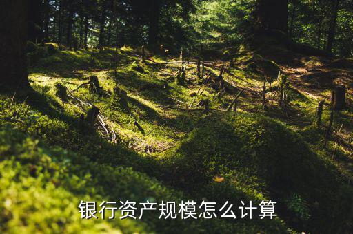 銀行的凈資產怎么算,財務報表中的凈資產計算方法如下