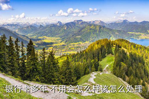 儲(chǔ)蓄卡不用了怎么辦,系統(tǒng)不會(huì)自動(dòng)注銷(xiāo)農(nóng)行中行、郵政儲(chǔ)蓄卡
