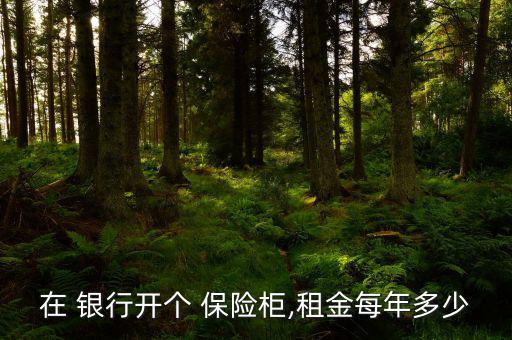 怎么在銀行開保險(xiǎn)柜,保管箱新常態(tài)