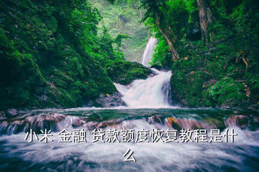  小米 金融 貸款額度恢復教程是什么