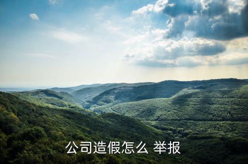 工程做假怎么舉報,工程信息欺詐需根據實際情況處理