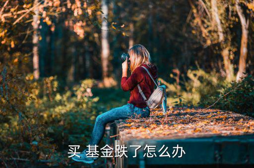 買(mǎi) 基金跌了怎么辦