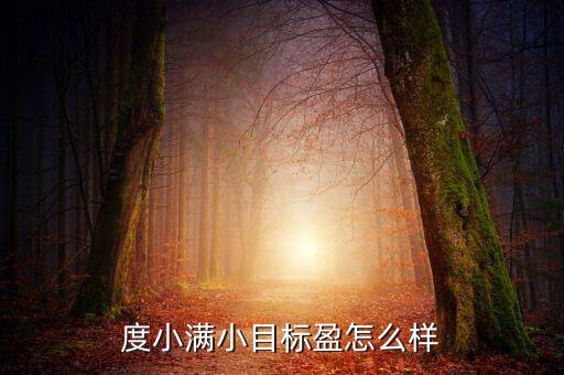 度小滿小目標盈怎么樣