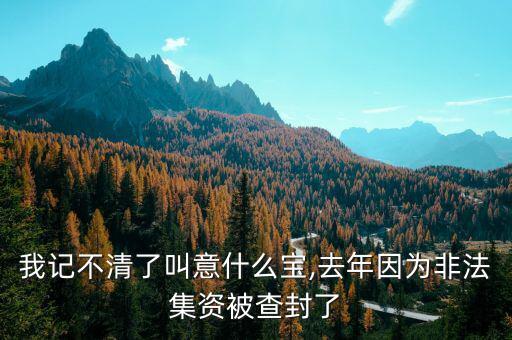 我記不清了叫意什么寶,去年因?yàn)榉欠Y被查封了