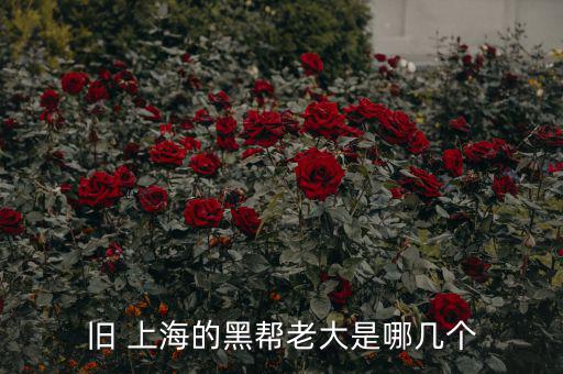 上?；バ沤鹑谠趺礃?上海五國會議機制前身是五國集團主席