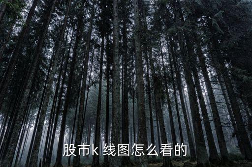 怎么查看日k線(xiàn)圖,任何證券公司軟件都可查看個(gè)股歷史k線(xiàn)圖