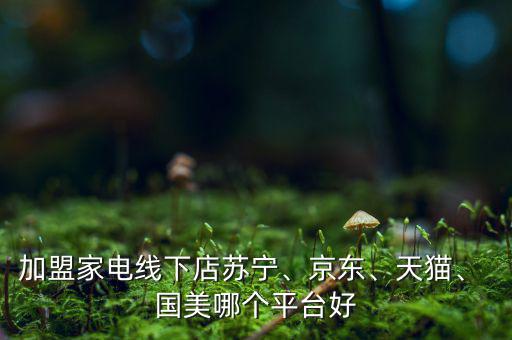 加盟家電線下店蘇寧、京東、天貓、 國美哪個平臺好