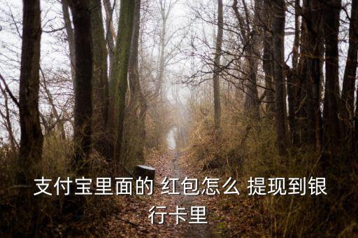  支付寶里面的 紅包怎么 提現到銀行卡里