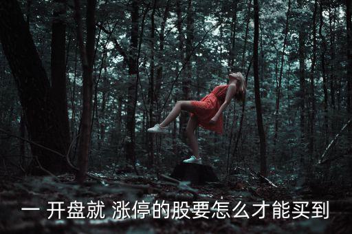 開(kāi)盤(pán)漲停的股票怎么賣(mài),漲停易賣(mài)難買(mǎi)