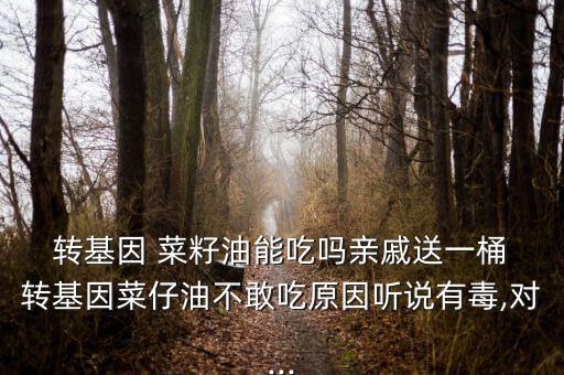  轉(zhuǎn)基因 菜籽油能吃嗎親戚送一桶 轉(zhuǎn)基因菜仔油不敢吃原因聽說有毒,對(duì)...