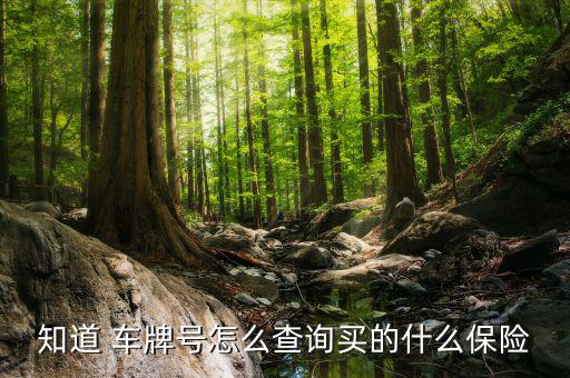 知道 車牌號怎么查詢買的什么保險