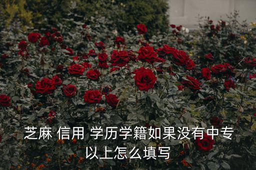 芝麻信用分學(xué)歷怎么填,芝麻信用如何完成評分學(xué)歷資訊