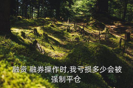  融資 融券操作時,我虧損多少會被強(qiáng)制平倉