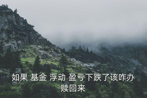 基金浮動(dòng)盈虧怎么提取,浮動(dòng)盈虧是正數(shù)，表示你賺了