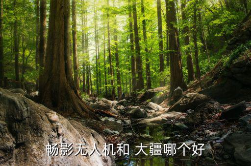 大疆創(chuàng)新銷(xiāo)售怎么樣,大疆創(chuàng)新成立20年專(zhuān)注于無(wú)人機(jī)領(lǐng)域