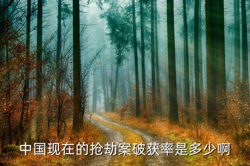 破案率怎么計算,中國警察現(xiàn)在破案費(fèi)率30%真不高!