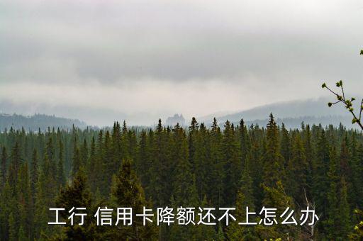 工行信用卡降低額度怎么辦,信用卡消費者應如何還款?