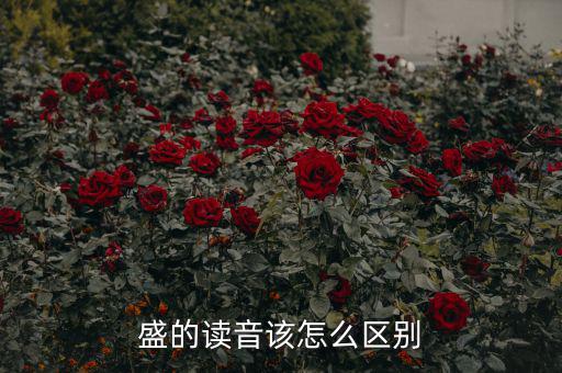 嘉盛中心的盛怎么讀,盛會(huì)、豐盛、茂盛、盛大等五個(gè)漢字