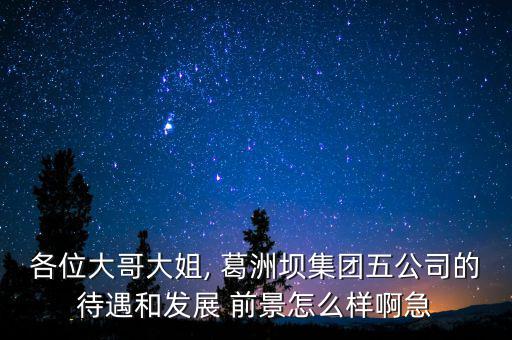 葛洲壩房地產(chǎn)前景怎么樣,葛洲壩集團(tuán)公司是國(guó)企里的垃圾!