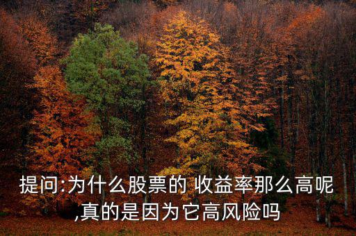 提問(wèn):為什么股票的 收益率那么高呢,真的是因?yàn)樗唢L(fēng)險(xiǎn)嗎