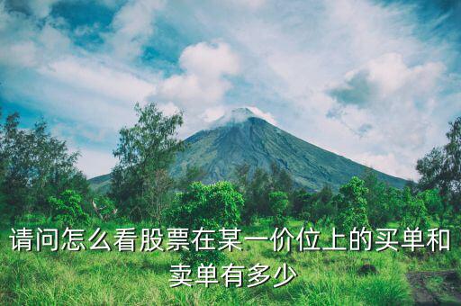 頂級(jí)賣(mài)單怎么看,如何買(mǎi)賣(mài)股票?