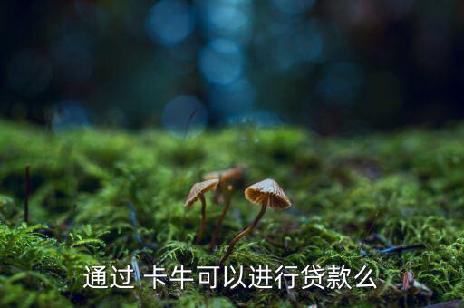 通過 卡?？梢赃M(jìn)行貸款么