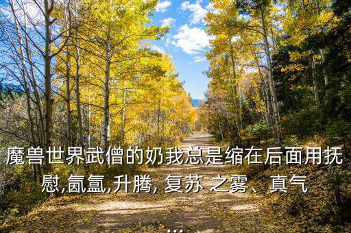 魔獸世界武僧的奶我總是縮在后面用撫慰,氤氳,升騰, 復蘇 之霧、真氣...